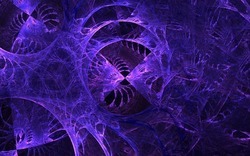 2014 04 26 Evening Plastic 42-black.jpg